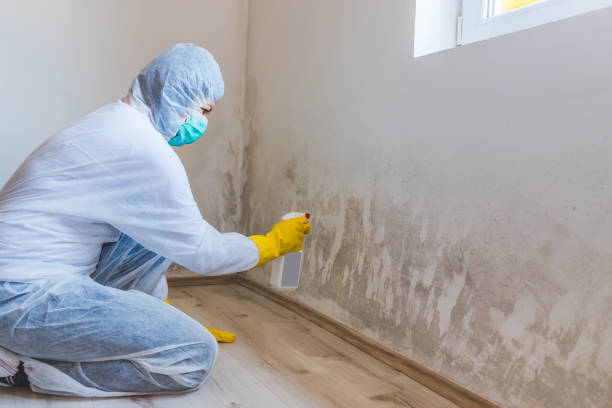 Best Crawl Space Mold Removal  in Rio Bravo, TX