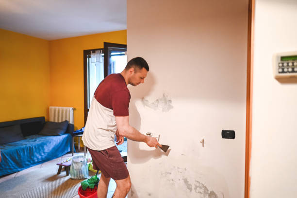 Best Mold Cleaning Services  in Rio Bravo, TX